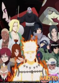Naruto Shippuden นารูโตะ ตำนานวายุสลาตัน Season 14 การจู่โจมจากระยะไกล
